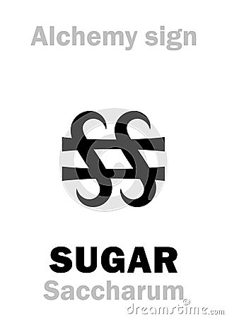 Alchemy: SUGAR (Saccharum) Vector Illustration